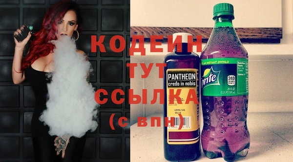 МДПВ Новозыбков