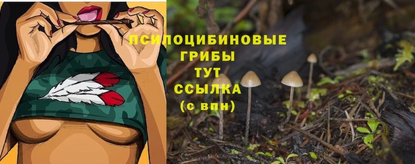 эйфоретик Нефтегорск